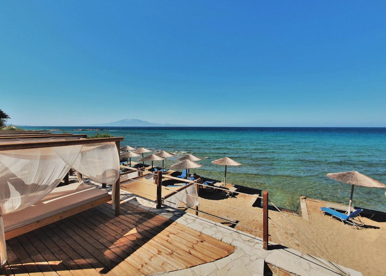 Tsamis Zante Suites (Adults Only) Psarou  Exterior foto Beach in Agia Marina